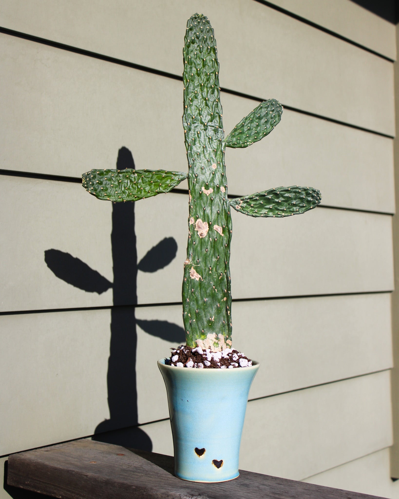 Iron Heart Vase, Blue